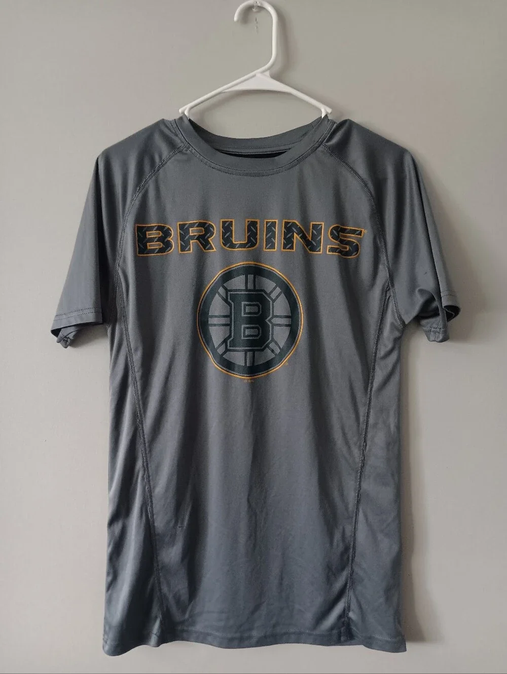 NHL boston bruins